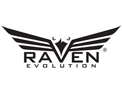 raven evolution airsoft gun