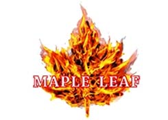 buckings maple leaf